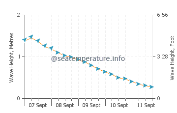Suso wave height and direction