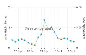 Takaka wave height and direction