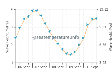 Takanini wave height and direction