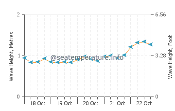 Tallebudgera wave height and direction
