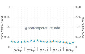 Tarumizu wave height and direction
