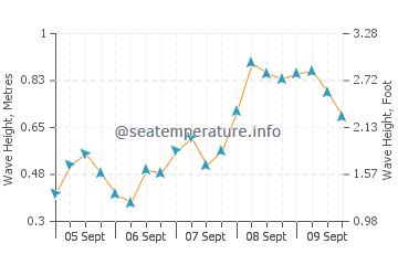 Tasikona wave height and direction