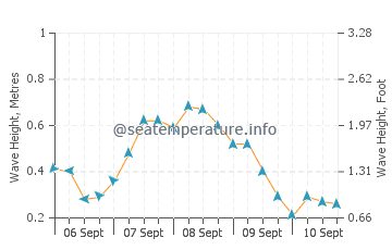 Tatou wave height and direction