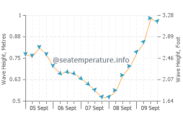 Taurito wave height and direction