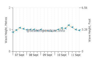 The Bottom wave height and direction