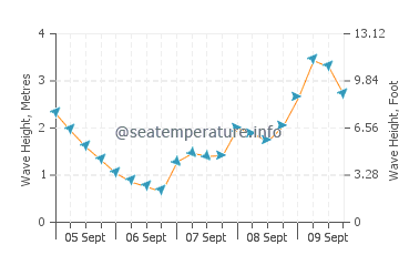 Tidal River wave height and direction