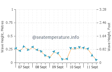 Tigre wave height and direction
