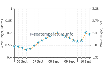 Tiku wave height and direction