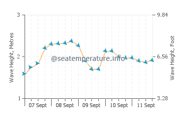 Tocha wave height and direction