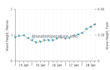 Tokashiki wave height and direction
