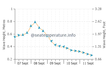 Tomigusuku wave height and direction