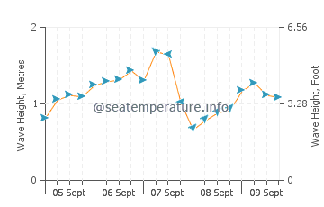 Tongue wave height and direction