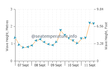 Tutukaka wave height and direction
