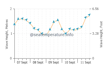Seaton wave height and direction