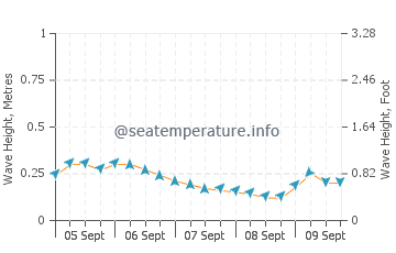 Dunedin wave height and direction