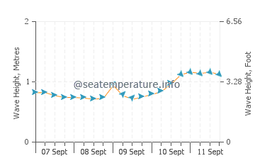 Manila wave height and direction