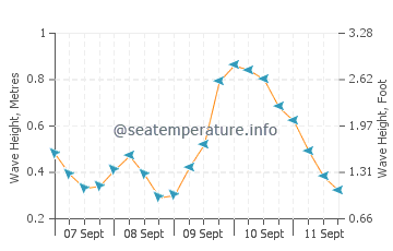 Plum Island wave height and direction