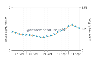 Charleston wave height and direction