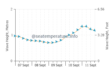 Newport wave height and direction