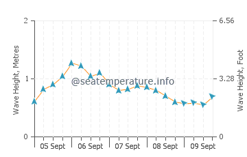 Newport wave height and direction