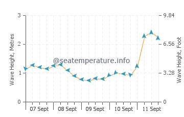 Urunga wave height and direction
