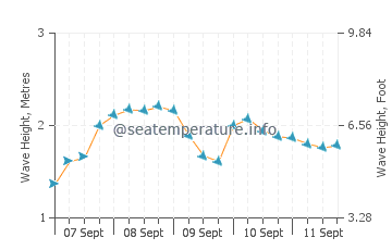 Vieira de Leiria wave height and direction