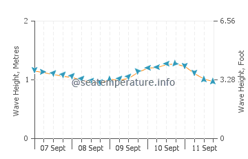 Waialua wave height and direction