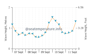 Waihi Beach wave height and direction