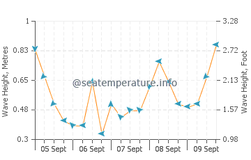 Waikuku wave height and direction