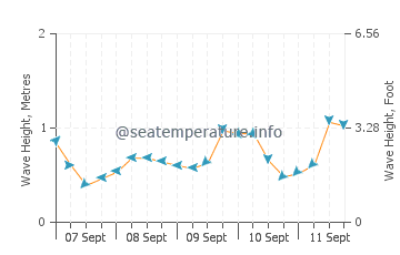 Waipu Cove wave height and direction