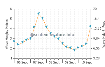 Waitangi wave height and direction