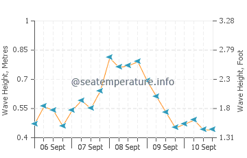 Wakatobi wave height and direction