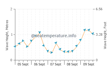 Wallaroo wave height and direction
