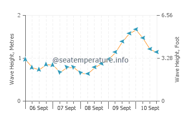 Wallops Island wave height and direction
