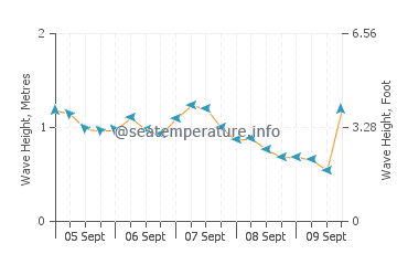Werri Beach wave height and direction