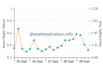 Wetar Island wave height and direction
