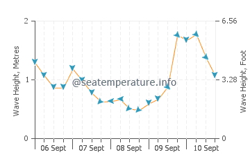 Whakatane wave height and direction