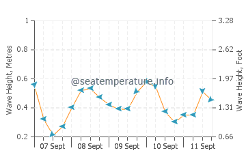 Whangarei wave height and direction