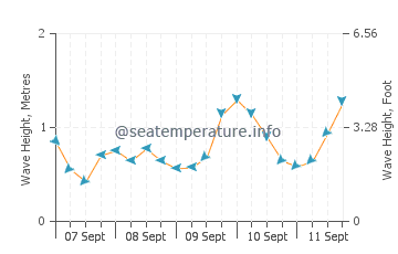 Whitianga wave height and direction