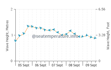 Woolgoolga wave height and direction