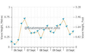Xinxing wave height and direction