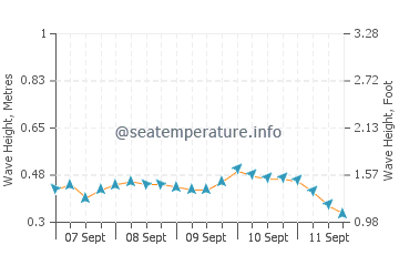 Yakushima wave height and direction