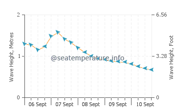 Yamada wave height and direction