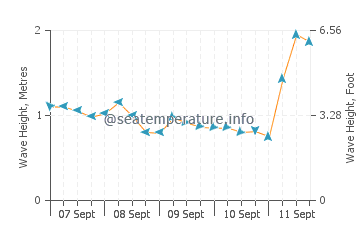 Yamba wave height and direction