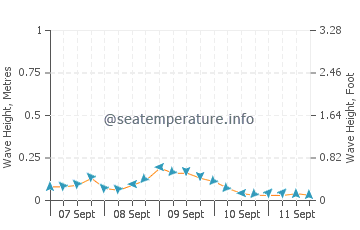 Yook wave height and direction