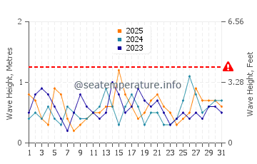 Waves height in Seaford in January