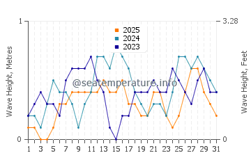 Waves height in Bachauan in January