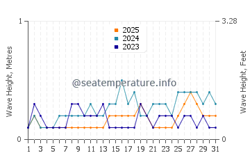 Waves height in Bodgaya Island in January