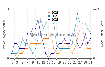 Waves height in Calumboyan in January
