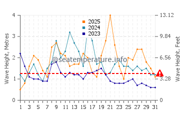 Wellenhöhe in Campanário im Januar